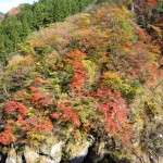 天然水が創られる山々の紅葉