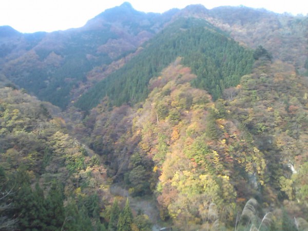 天然水が創られる山々