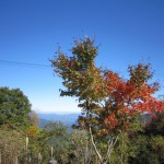 天然水が創られる山々の紅葉