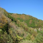 天然水が創られる山々の紅葉