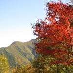 天然水が創られる山々の紅葉