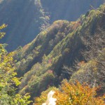 天然水が創られる山々の紅葉