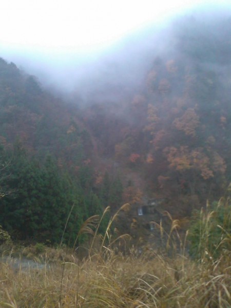 天然水が創られる山々