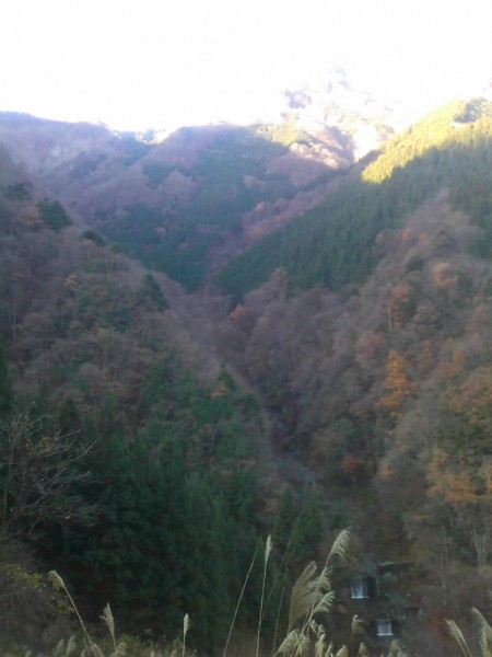 秩父の天然水が創られる山々