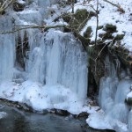 天然水が創られる山々