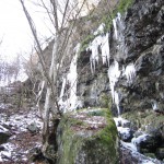 天然水が創られる山々