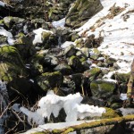 天然水が創られる山々