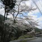 天然水が創られる山々の春