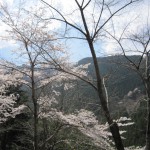 天然水が創られる山々の春