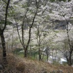 天然水が創られる山々の春