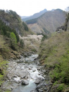 天然水が創られる山々の春