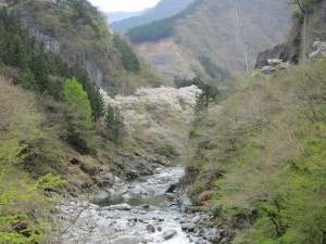 天然水が創られる山々の春