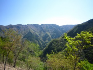 天然水が創られる山々　初夏