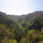 天然水が創られる山々　初夏