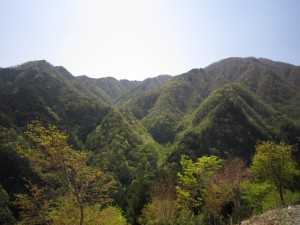 天然水が創られる山々　初夏