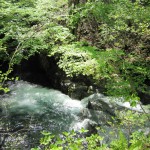 天然水が創られる山々　初夏