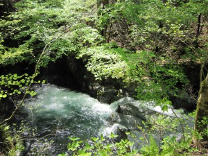 天然水が創られる山々　初夏