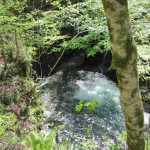 天然水が創られる山々　初夏