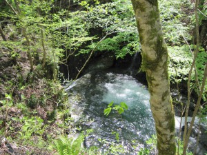 天然水が創られる山々　初夏