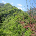 天然水が創られる山々　初夏