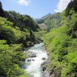 天然水が創られる山々　初夏