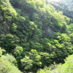 天然水が創られる山々　初夏