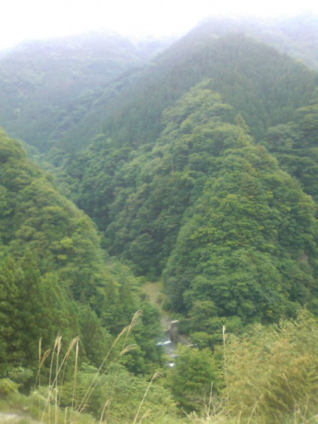 天然水が創られる山々