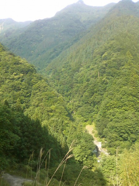 天然水が創られる山々