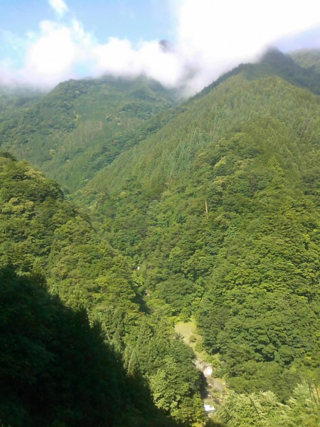 天然水が創られる山々