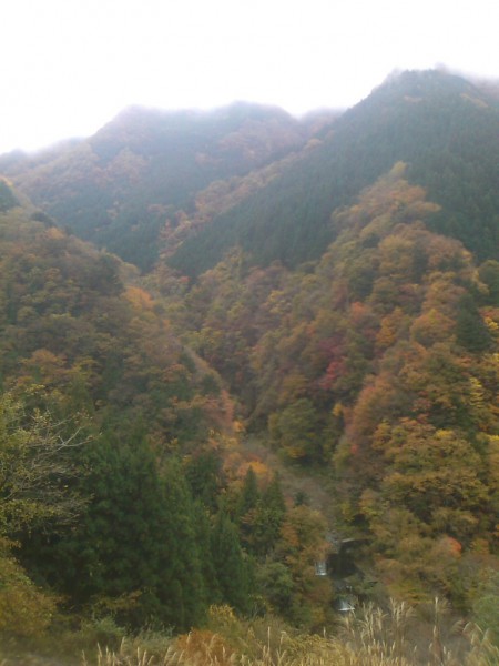 天然水が創られる山々