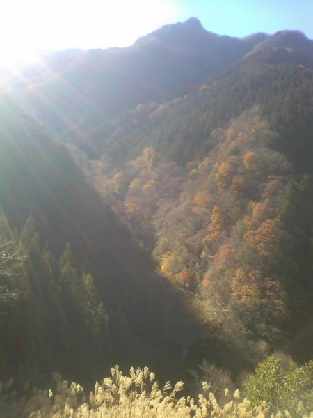 天然水が創られる山々