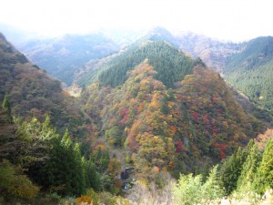 天然水が創られる山々