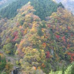 天然水が創られる山々