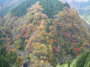 天然水が創られる山々