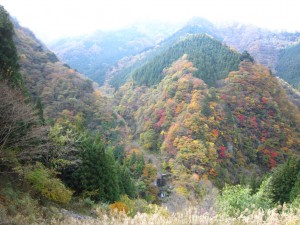 天然水が創られる山々