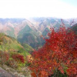 天然水が創られる山々