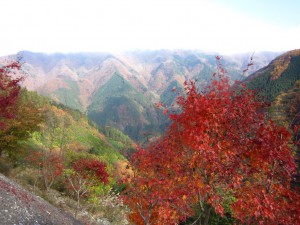 天然水が創られる山々