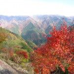 天然水が創られる山々