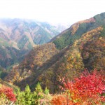 天然水が創られる山々