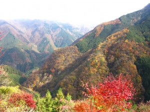 天然水が創られる山々