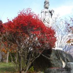 天然水が創られる山々