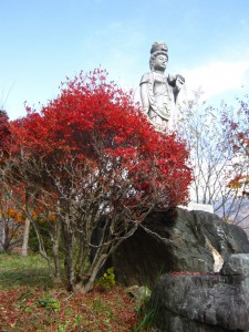 天然水が創られる山々