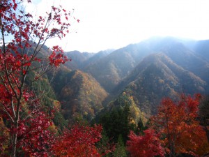 天然水が創られる山々