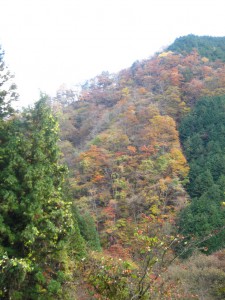 天然水が創られる山々