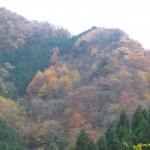 天然水が創られる山々