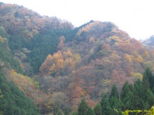 天然水が創られる山々