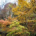 天然水が創られる山々