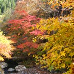 天然水が創られる山々