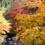 天然水が創られる山々