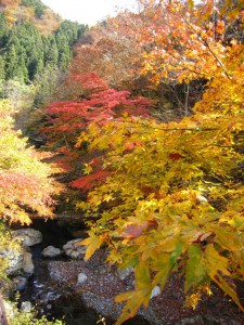 天然水が創られる山々